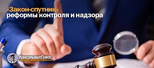 "Закон-спутник" реформы контроля и надзора