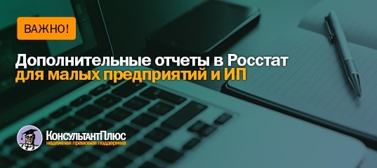 Дополнительные отчеты в Росстат для малых предприятий и ИП